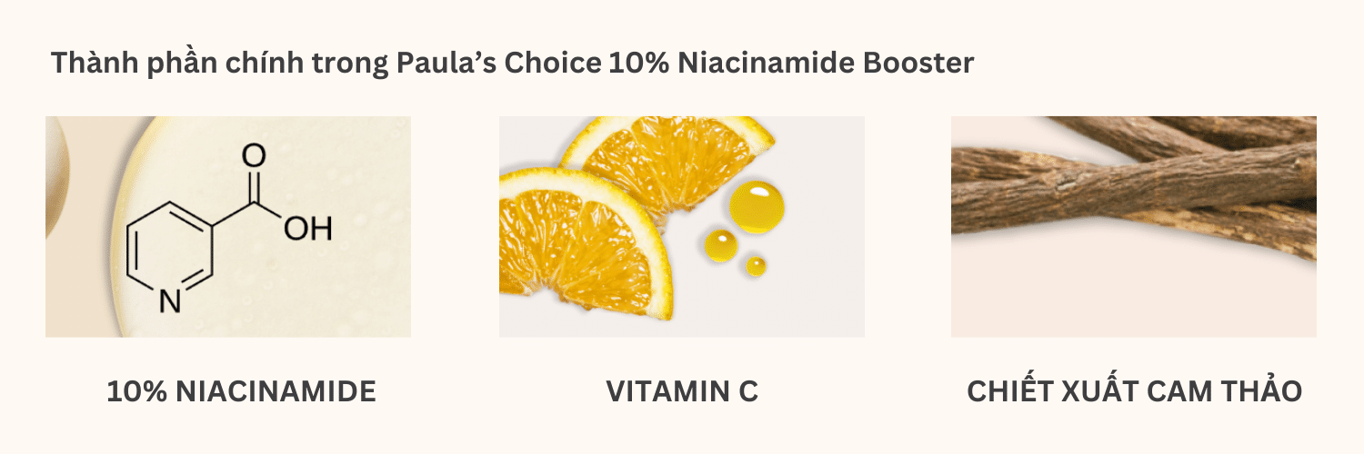 Thành phần chính trong Paula’s Choice 10% Niacinamide Booster