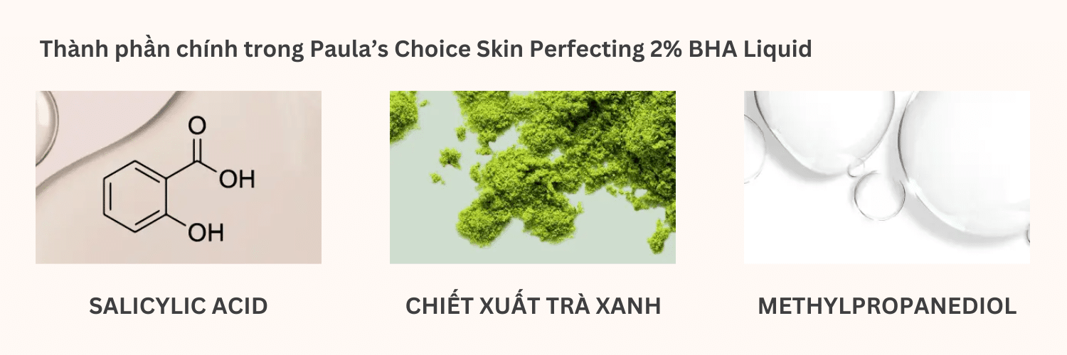  Thành phần chính trong Paula’s Choice Skin Perfecting 2% BHA Liquid